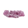 Violetas en Latita Personalizada para el Día de la Mujer 8M sueltas