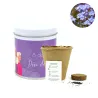 Cultivo de Flor No Me Olvides en Lata para el Día de la Mujer 8M blanca