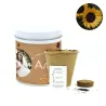 Cultivo de Girasol en Lata blanca Personalizada para Comunión