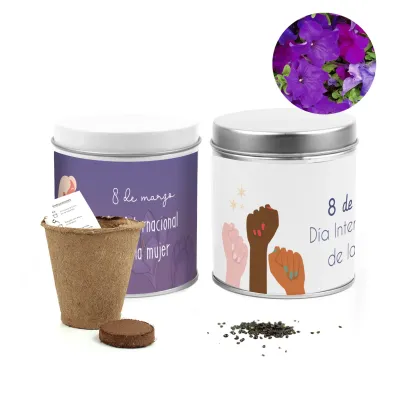 Cultivo de Petunias en Lata para el Día de la Mujer 8M