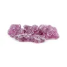 Violetas en Latita Personalizada para Cumpleaños contenido