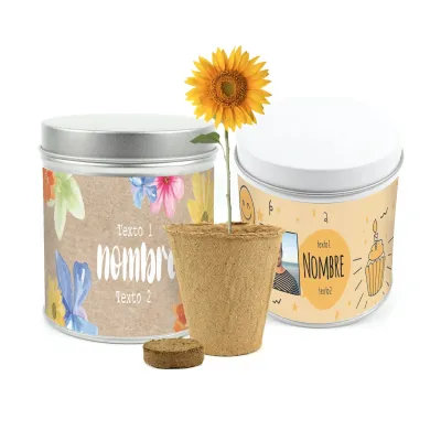 Cultivo de Girasol en Lata Personalizada para Cumpleaños
