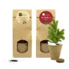 Set de Cultivo de Arbolito de Navidad en Bolsita Kraft Personalizada