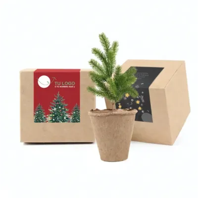 Cultivo de Semillas de Arbolito de Navidad en Cajita Kraft Personalizada