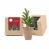 Cultivo de Semillas de Arbolito de Navidad en Cajita Kraft Personalizada