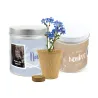 Cultivo de Flor No Me Olvides en Lata Personalizada para Comunión