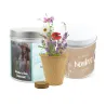 Cultivo de Mix de Flores en Lata Personalizada para Detalles de Comunión Cultivo de Mix de Flores en Lata Personalizada para Detalles de Comunión