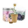 Cultivo de Margaritas en Lata Personalizada para Comunión