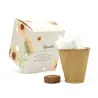 Kit de Cultivo Girasoles en Cajita Decorada y Personalizada para Comunión trasera