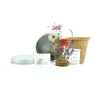 Cultivo de Mix de Flores en Lata Personalizada para Detalles de Bautizo contenido