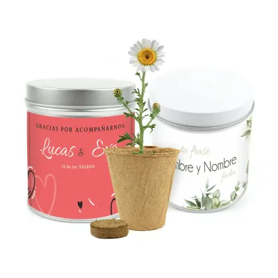 Cultivo de Margaritas en Lata Personalizada para Boda