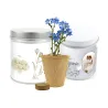 Cultivo de Flor No Nos Olvides en Lata Personalizada para Boda