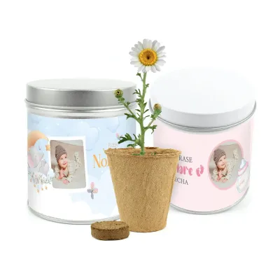 Cultivo de Margaritas en Lata Personalizada Baby Shower