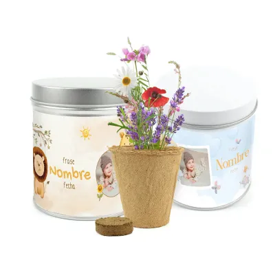 Cultivo de Mix de Flores en Lata Personalizada Baby Shower