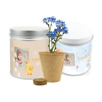 Cultivo de Flor No Me Olvides en Lata Personalizada Baby Shower