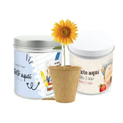 Cultivo de Girasol en Lata Personalizada para Eventos Escolares