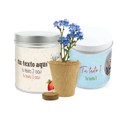 Flor No Me Olvides en Lata Personalizada para Eventos Escolares