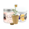 Cultivo de Margaritas en Lata Personalizada para Eventos Escolares