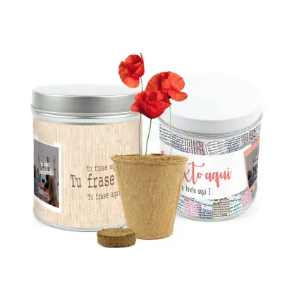 Cultivo de Amapola en Lata Personalizada para Eventos Escolares