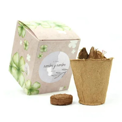 Kit de Cultivo Tréboles en Cajita Decorada y Personalizada para Boda