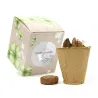 Kit de Cultivo Tréboles en Cajita Decorada y Personalizada para Boda