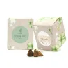 Kit de Cultivo Tréboles en Cajita Decorada y Personalizada para Boda frontal
