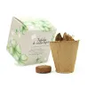 Kit de Cultivo Tréboles en Cajita Decorada y Personalizada para Boda diseño