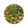 Kit de Cultivo Mix de Flores en Cajita Decorada y Personalizada para Bautizo flor