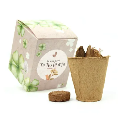 Kit de Cultivo Tréboles en Cajita Decorada y Personalizada para Eventos Escolares