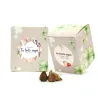 Kit de Cultivo Tréboles en Cajita Decorada y Personalizada para Eventos Escolares frontal