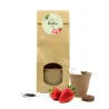 Set de Cultivo de Fresas en Bolsita Kraft Personalizada para Detalles de Comunión natural
