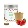 Cultivo de Fresas en Lata Personalizada para Detalle de Bautizo